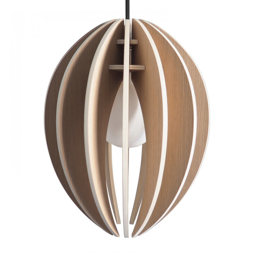 1 - Light Single Pendant