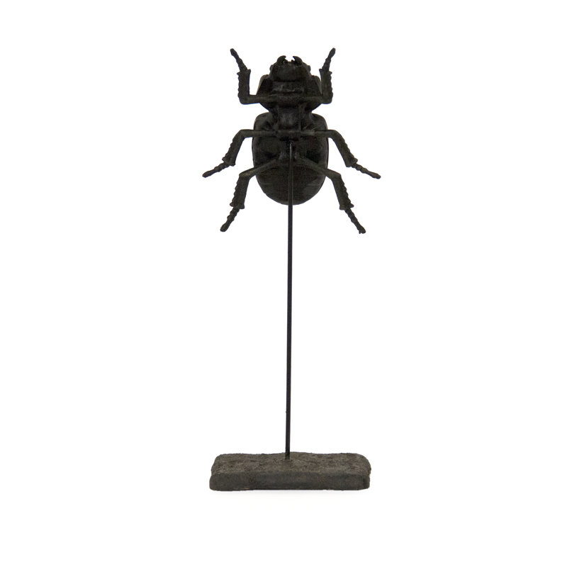 Small Stag Beetle on Stand