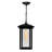 Alenushka Traditional Outdoor 1-Light Hanging Lantern for Patio, Garden, and Front Porch