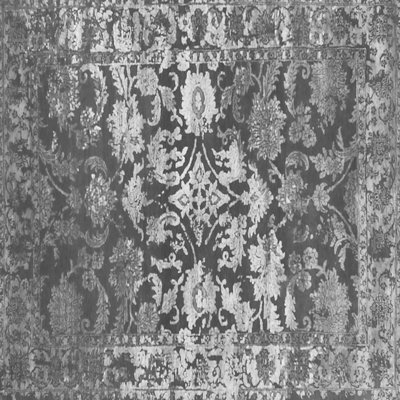 Nialah Performance Oriental Indoor Rug