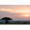 Serengeti, Tanzanie par Photomanrichard - Photographie sur toile tendue