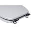 Soft Close Elongated Toilet Seat-40195501