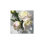 " Delicate Peonies " by Teddi Parker