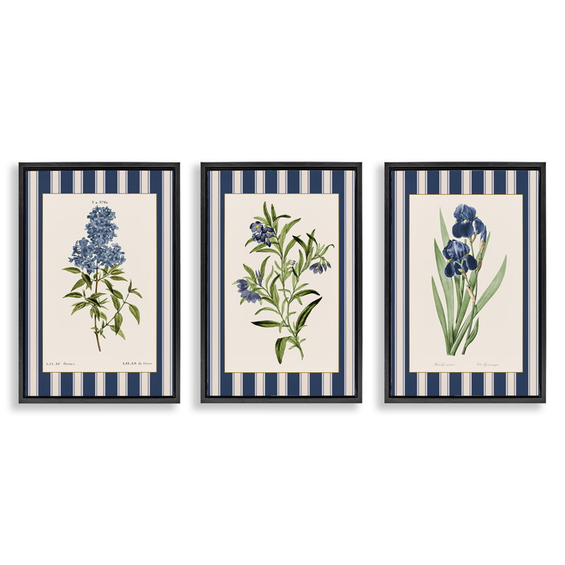 Vintage Plant Studies over Stripes 3pc Floating Frame Set, design by Corinne Haig, Jet Black Floater Frame, 25" H x 17" W