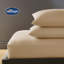 Silentnight Pure Cotton 200 TC Pillowcases-112662046