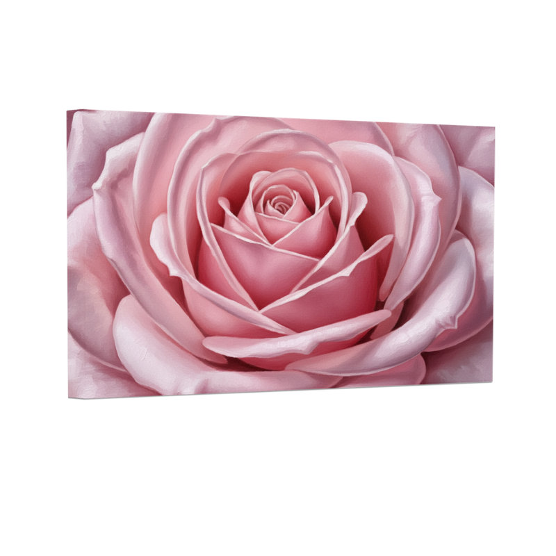 Plantes et fleurs, rose, gros plan, motif floral, H 12 po x l 18 po