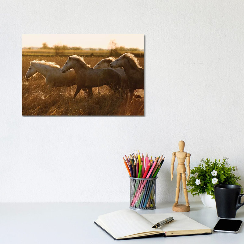 Camargue Horses Running At Sunset, Camargue, France by Konrad Wothe - Wrapped Canvas Print, 20.32cm H x 30.48cm W x 1.91cm D