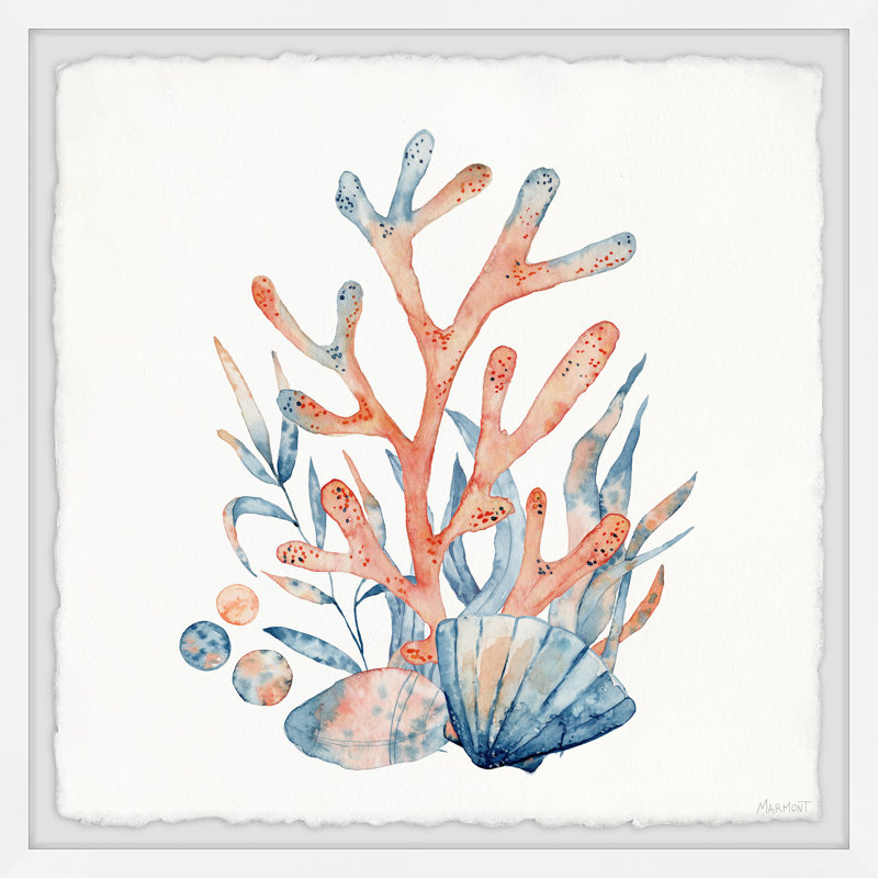 Coral And Shells - Single Picture Frame Painting, 30cm H x 30cm W x 3.81cm D