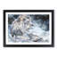 Beautiful Lion - Single Picture Frame Painting on MDF-56628281-56628285