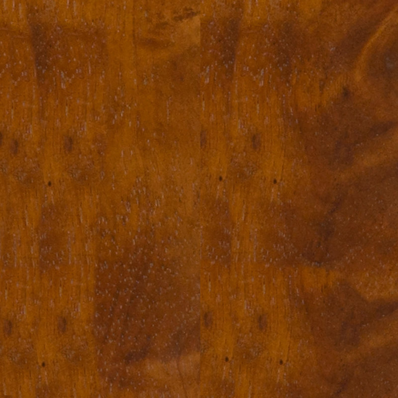 Forsyth Solid Wood Counter & Bar Stool, Bar Stool (29" Seat Height), Honey Brown