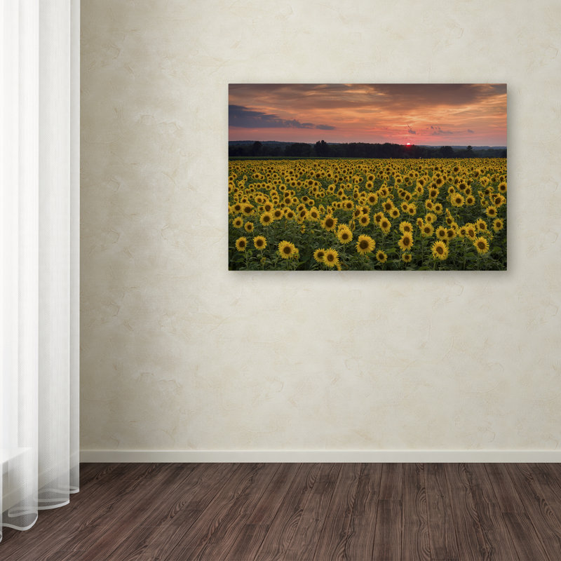 Cliffton «Sunflower Taps», reproduction de photo sur toile tendue, H 30 po x l 47 po x P 2 po