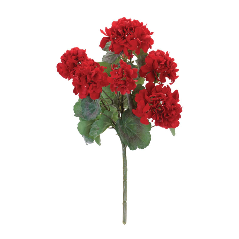 Geranium Floral Bush
