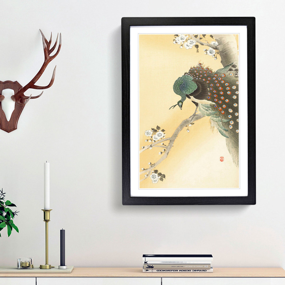 Peacock on a Cherry Blossom Tree by Ohara Koson - Picture Frame Painting Print