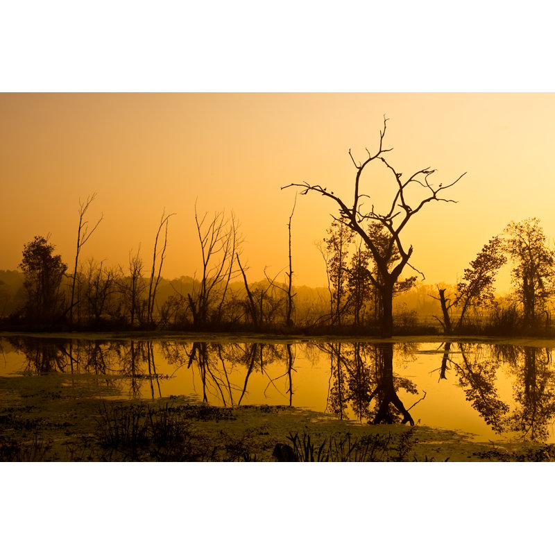 Brazos Bend At Dawn - Wrapped Canvas Print, 30cm H x 46cm W x 3.8cm D