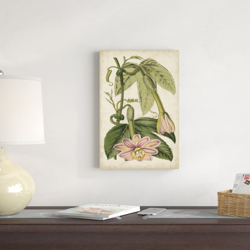 Fleur de la passion botanique, H 18 po x l 12 po x P 1,25 po