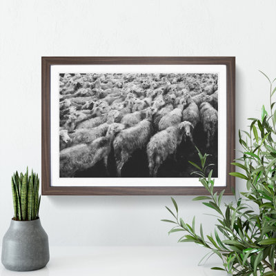Flock of Sheep Vol.1 - Framed Print