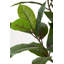 130cm Faux Magnolia Tree in Fibrestone Pot