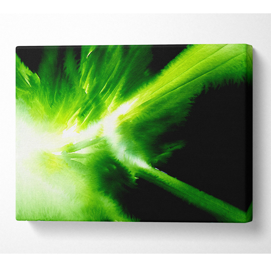 Green Infusion - Kunstdrucke auf Leinwand - Wrapped Canvas