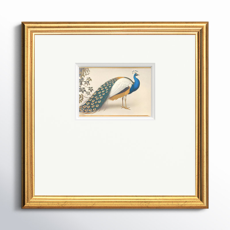 «Golden Peacock Iiompemium», reproduction encadrée, H 17 po x l 17 po, Encadrement doré