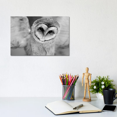 Cute Owl Wings Spread by Leah Straatsma - Wrapped Canvas Gallery-Wrapped Canvas Giclée