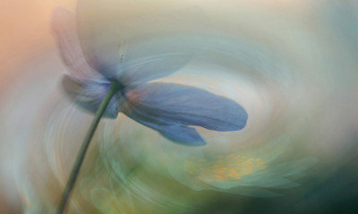 Wrapped Canvas Print, 60.96cm H x 91.44cm W