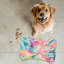 Art abstrait de peinture - Tapis d'alimentation en forme d'os