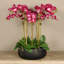 Orchid Floral Arrangement in Planter-249749283-249749282-249749292