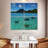 Brampt Bora Bora Stingrays-109134368