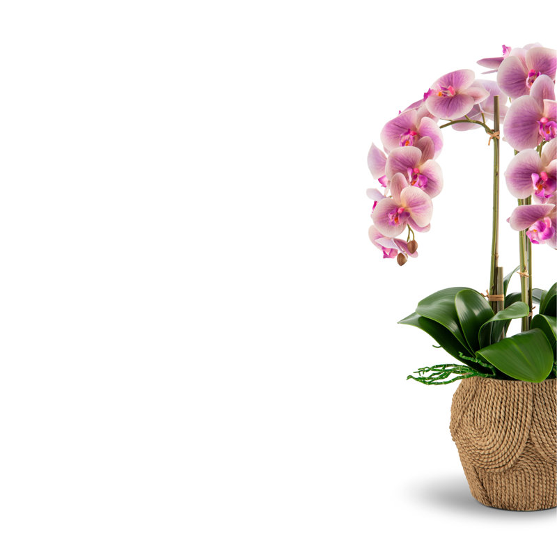 Manorca RealTouch Orchid Arrangement, Periwinkle