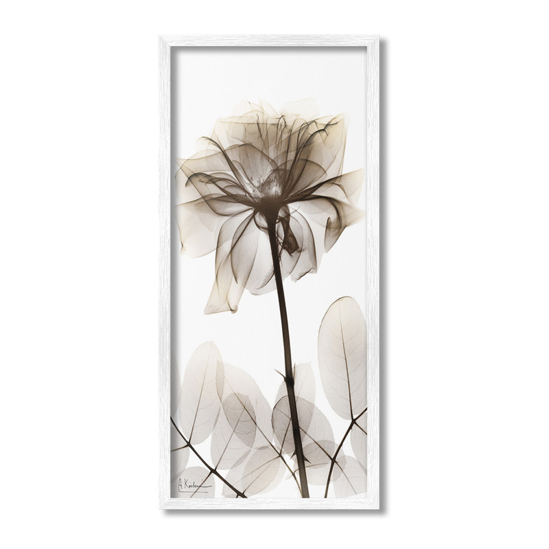 «Giclee Art» par Albert Koetsier, Giclée encadrée blanc bord de mer, H 24 po x l 10 po