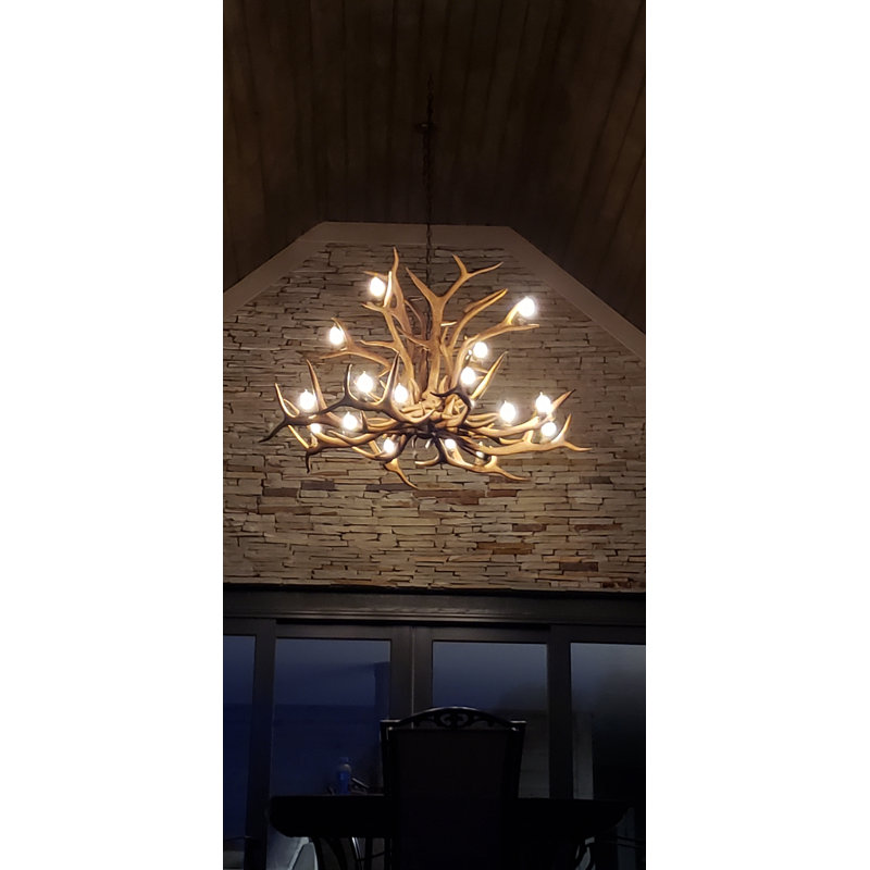 Lustre à 15 lumières Murphree Antler Elk