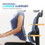 Montmiral Mesh Office Chair with Headrest