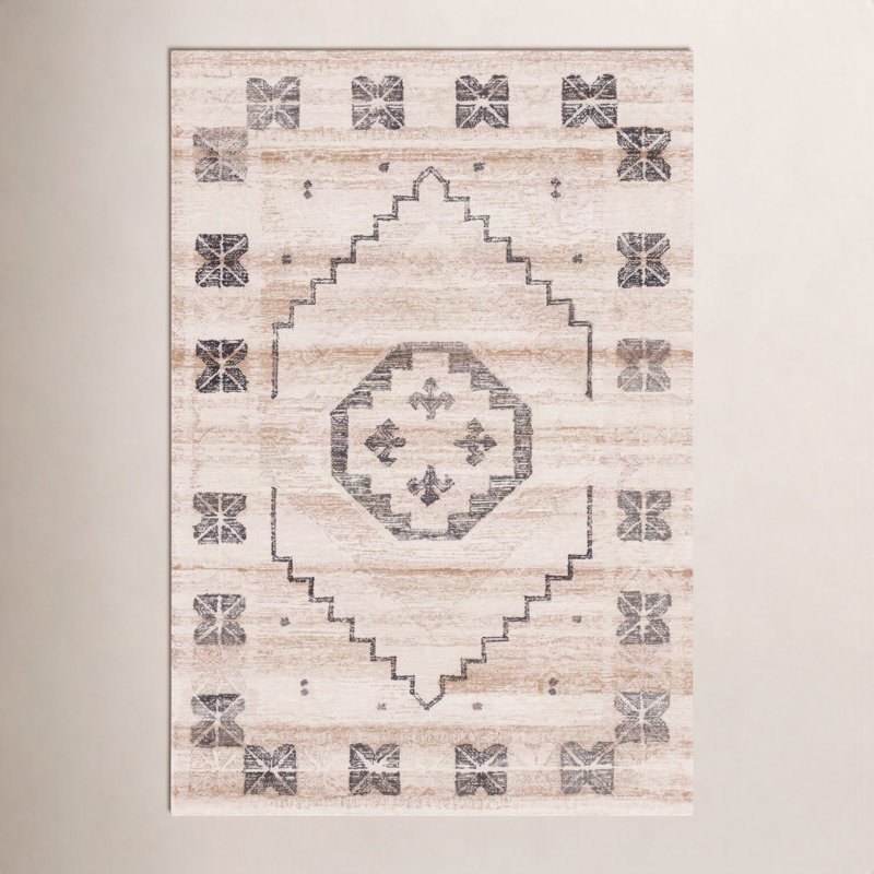 Barnwell Southwestern Indoor Rug, Rectangle 8' x 10'