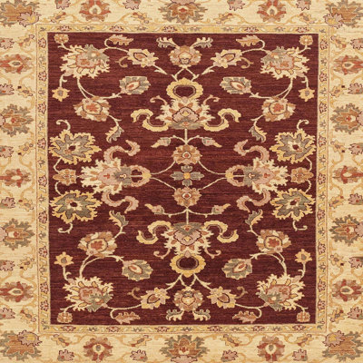 Oriental Indoor Rug