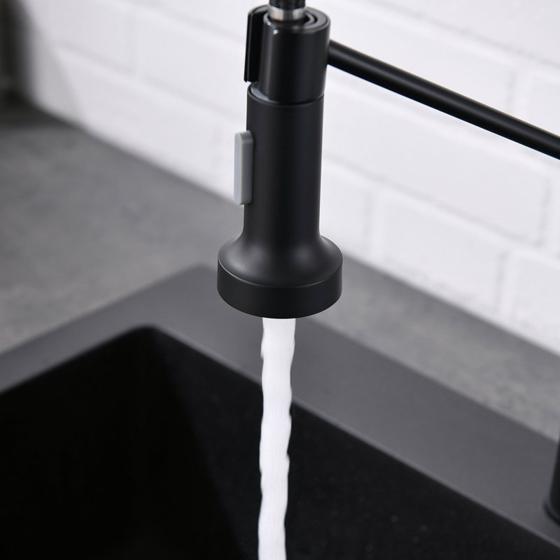 Robinet de cuisine avec douchette extractible en acier inoxydable nickel brossé