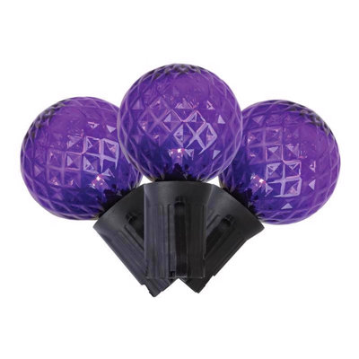  Purple 25 ct LED G40 Halloween String Lights