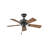 Barwood 36'' Ceiling Fan-975386678