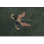 Art Deco One-of-a-Kind 8'0X10'0 Area Rug