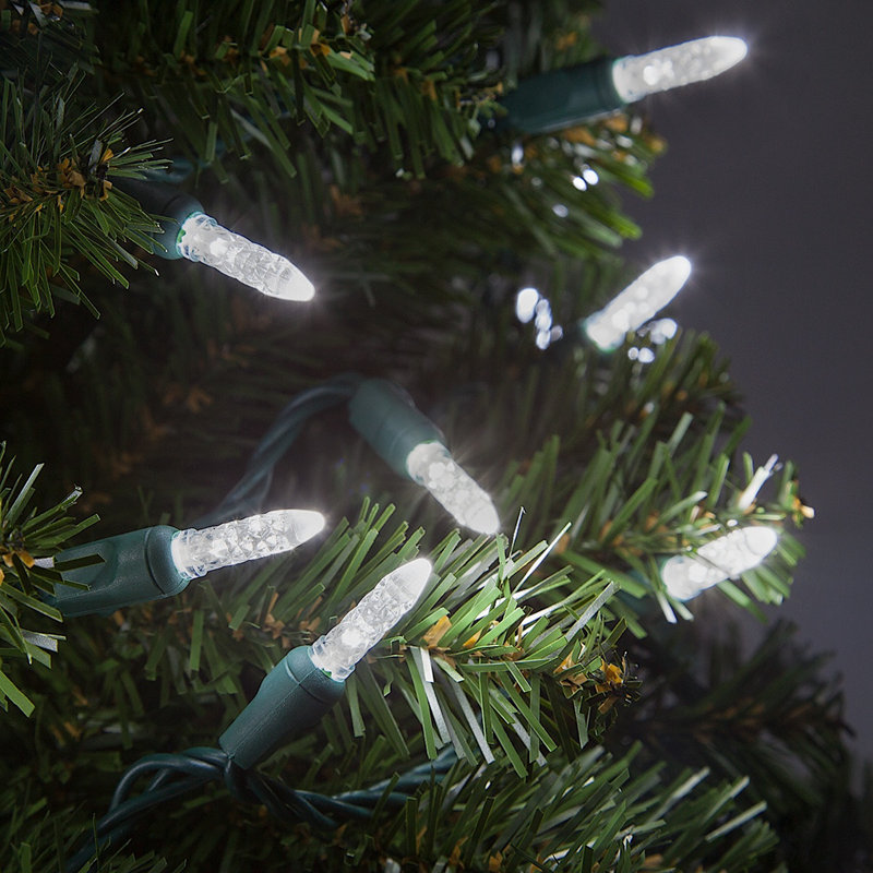 288'' LED String Lights, Cool White