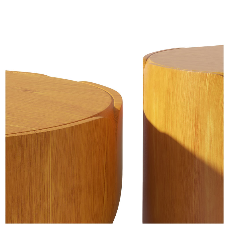 Ensemble de tables basses rondes d'intérieur et d'extérieur 2 pièces, finition grain de bois moderne naturel