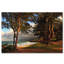 «Joden Hawaii 5» par Jason Shaffer, reproduction de photo sur toile tendue-20568193