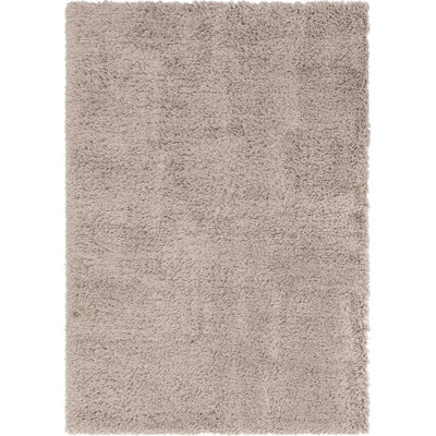 Indoor Rug