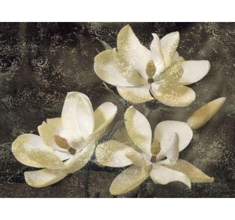 «World Menagerie Seba, John», art sur toile tendue sous le titre «The Magnolia Tree»