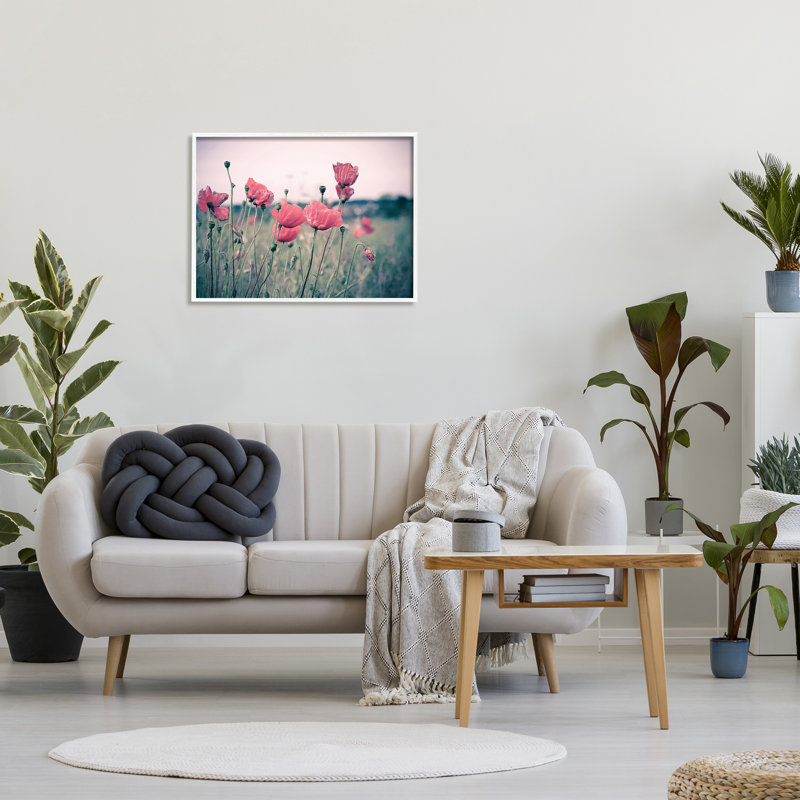 Champ de coquelicots d'automne - photographie, H 24 po x l 30 po, Giclée encadrée blanc bord de mer