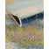Roshan Washable Abstract Indoor Rug