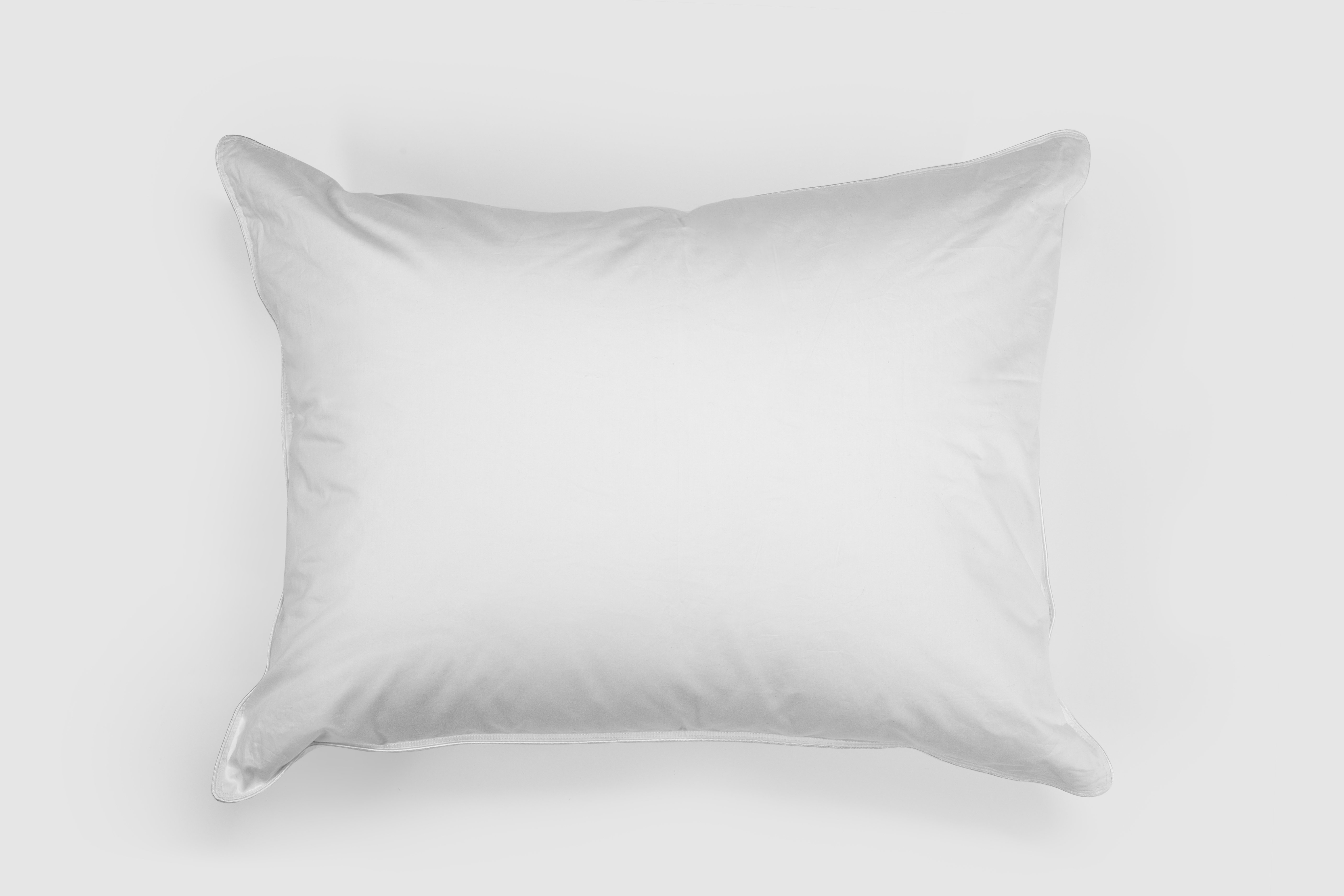 Alwyn Home Nellie Extra Firm Bed Pillow, Size: Standard, White