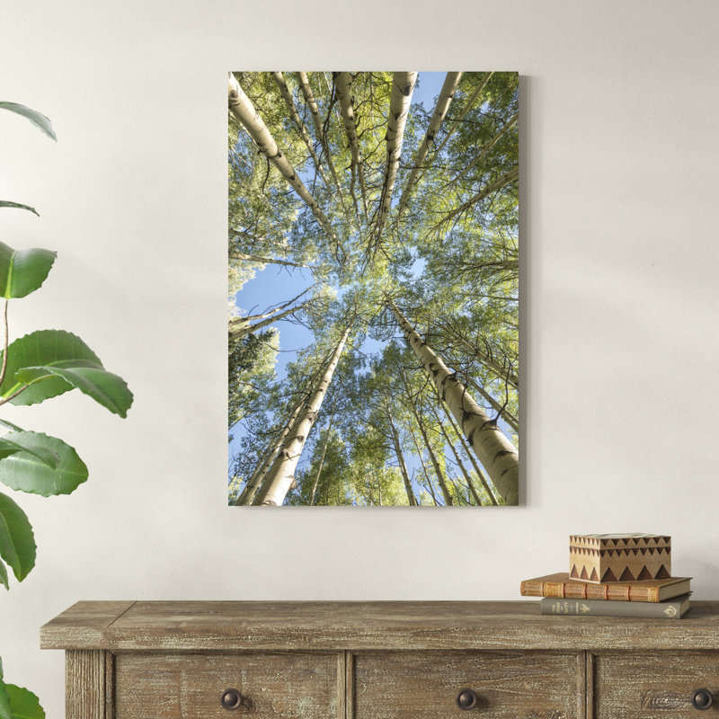 «Look Up» par Danny Head - impression sur toile tendue, H 36 po x l 24 po