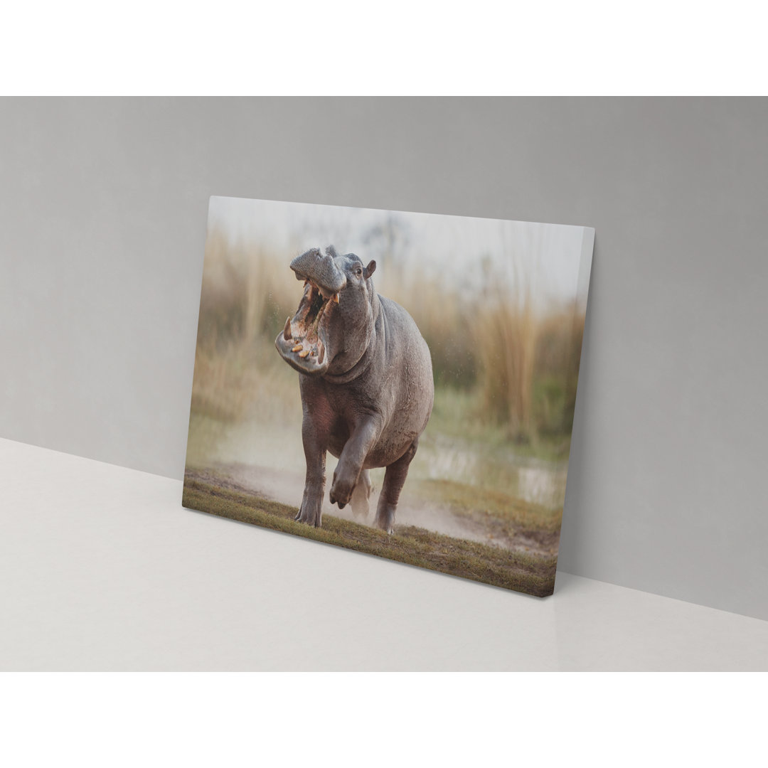 Angry Hippo - Wrapped Canvas Graphic Art