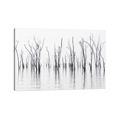 Africa, Zimbabwe, Matusadona National Park by Jaynes Gallery - Wrapped Canvas Print