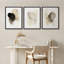Ensemble de 3 reproductions d'art encadrées délavées à l'encre beige doux pour le couloir de chambre à coucher-123941045-123941044